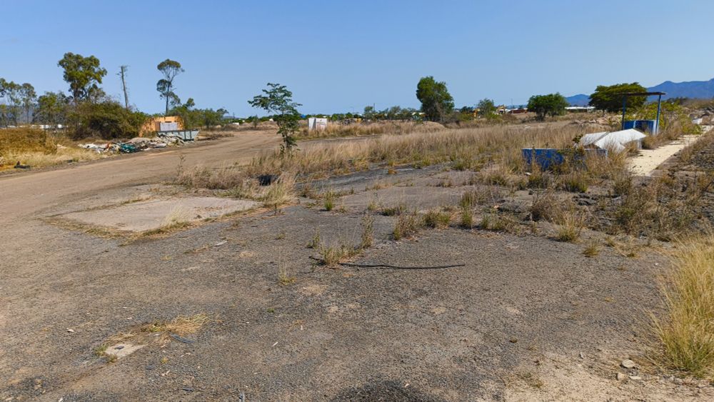 overgrown bitumen etc