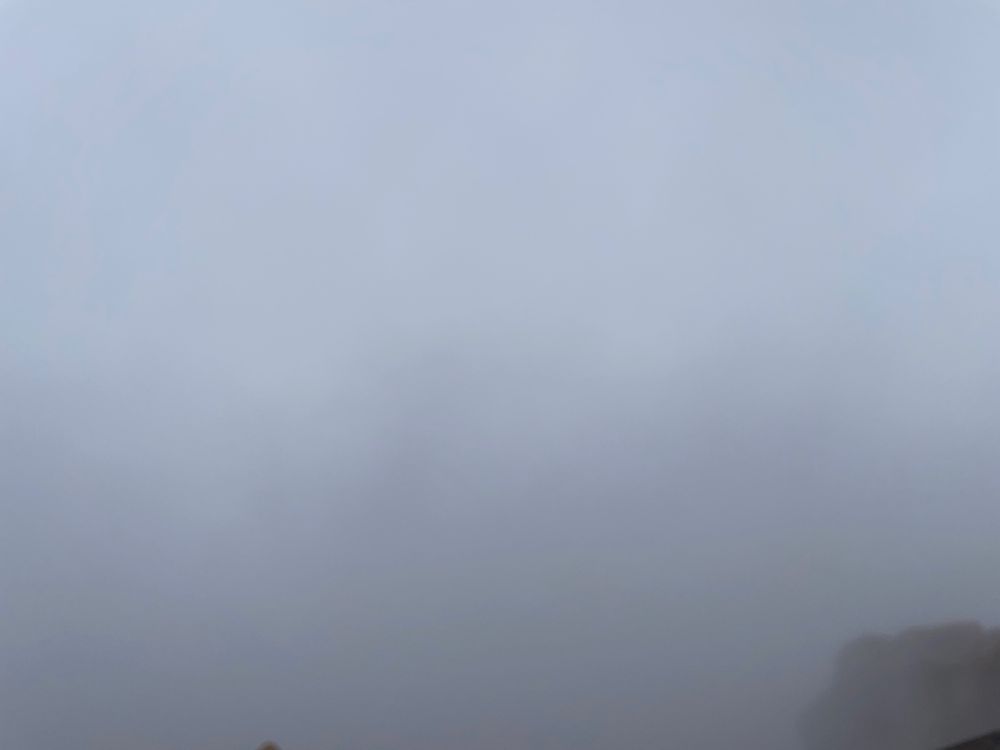 Fog. Nothing but fog