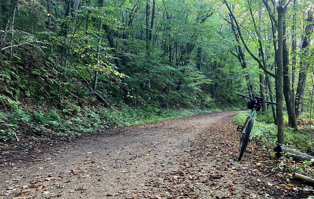 A bicycle leaning against a tree on a dirt road