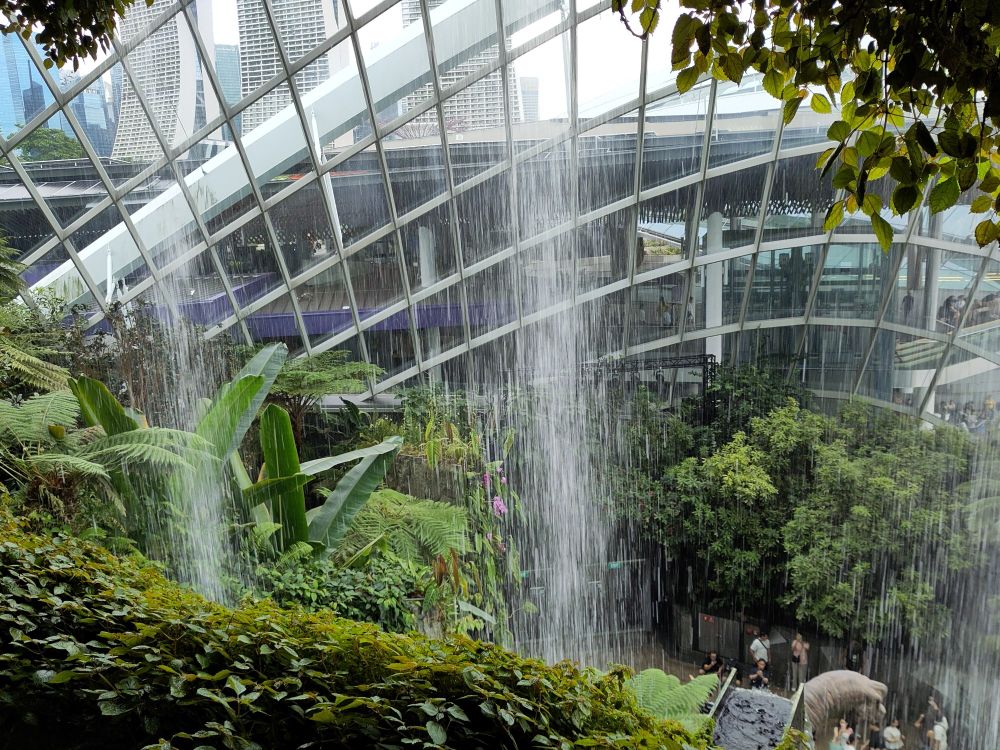 Plants under a waterfall 🦕