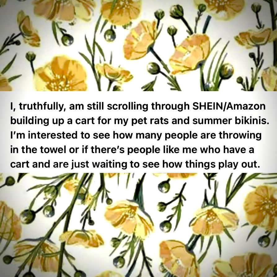 I, truthfully, am still scrolling through SHEIN/Amazon
 building up a cart for my pet rats and summer bikinis.
 I'm interested to see how many people are throwing
 in the towel or if there's people like me who have a
 cart and are just waiting to see how things play out.