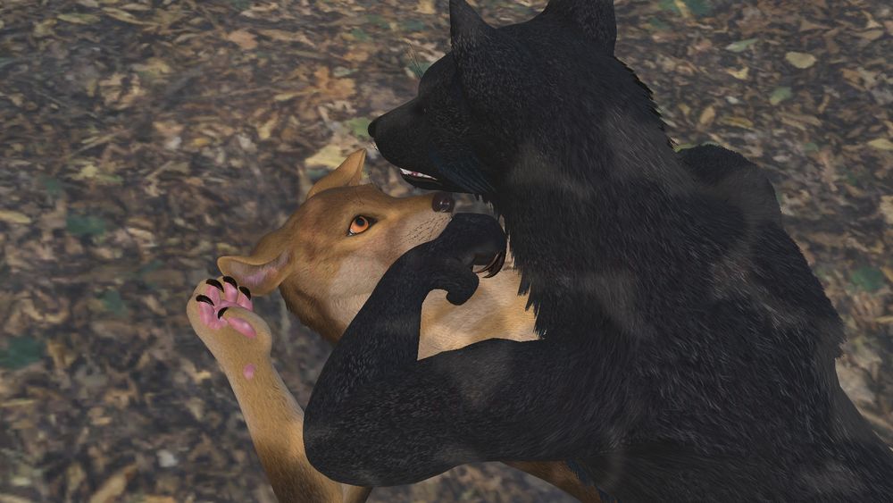 Limit's personal Acani VR avatar being pinned down to the forest floor by the Were Acani avatar, with the Were Acani's front hand-paw being jammed in Limit's mouth. both are 3D models created by Limit1997.