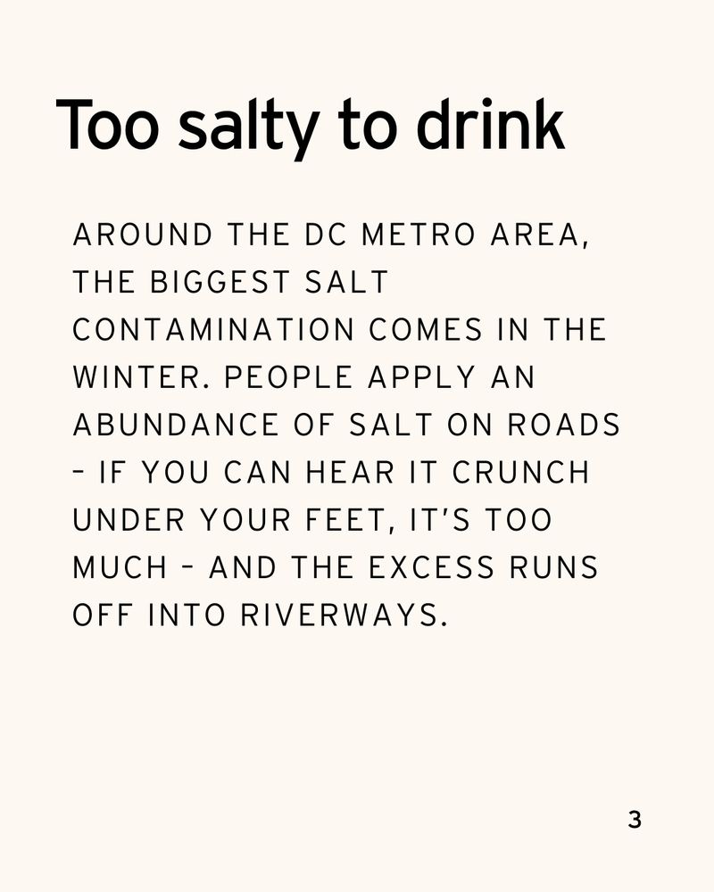 Too salty to drink. Around the DC metro area, the biggest salt contamination comes in the winter. People apply an abundance of salt on roads – if you can hear it crunch under your feet, it’s too much – and the excess runs off into riverways.