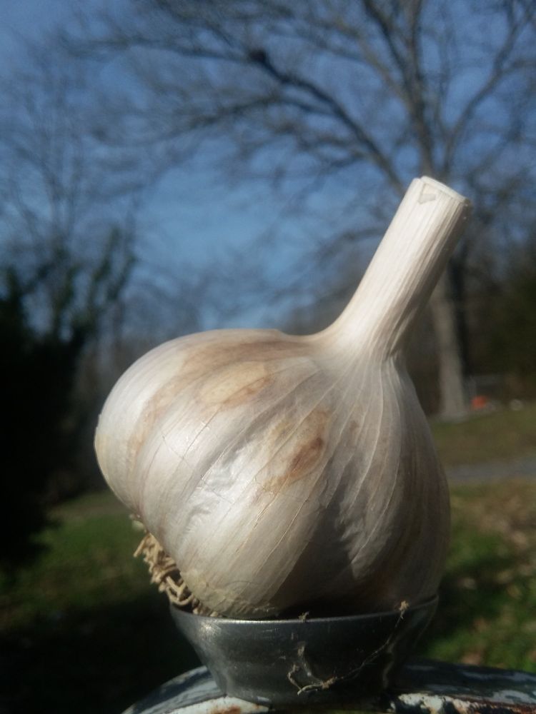 with the outdoor look -- sad looking pedestal tho