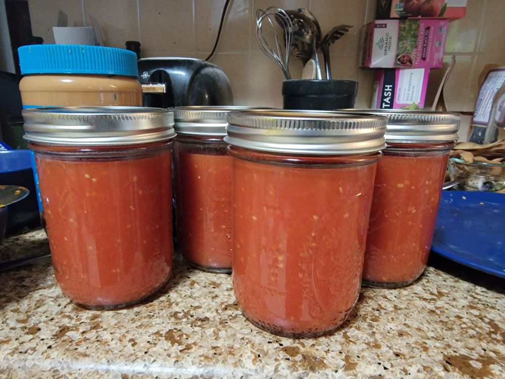 A picture of four pints of cannedtomato sauce. 