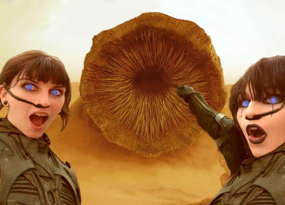 Two dark haired women with glowing blue eyes in black stillsuits, desert in the background. They are pointing to a sandworm (from the movie Dune) with their mouths agape. It is a Dune-themed version of the Two Soyjaks Pointing meme.