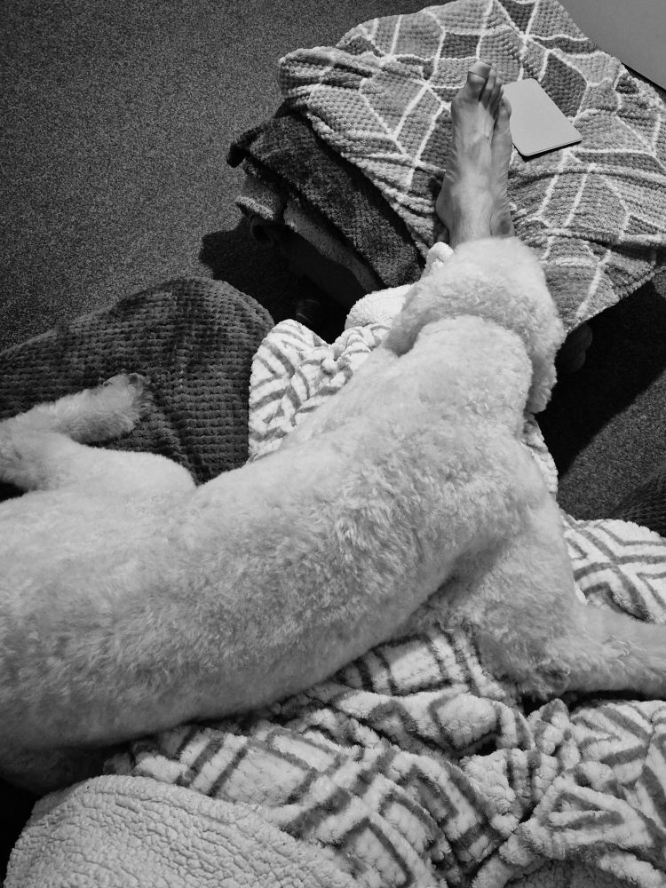A giant dog flopped on a tired man