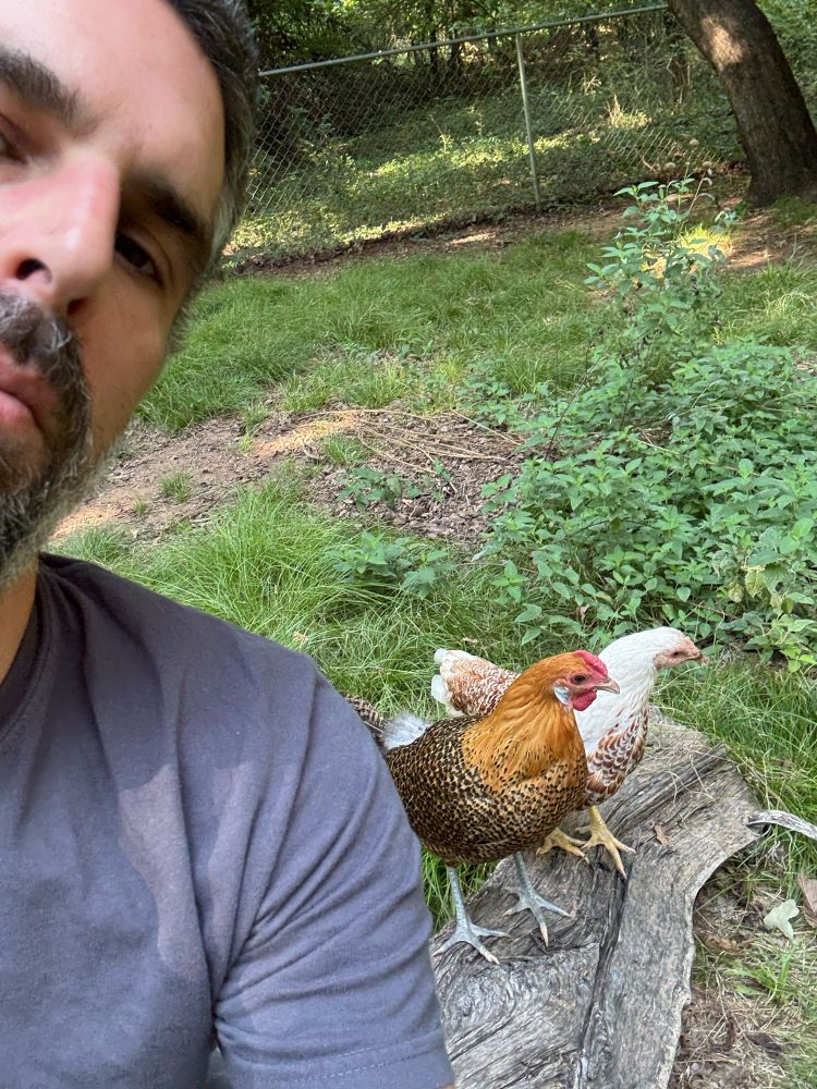 Part of my face with two chickens behind me. First a small golden penciled Hamburg and behind her a white laced red Cornish. Incidentally the bench is a split limb from the 2020 ice storm. A chunk of mulberry that almost took out the old coop. 