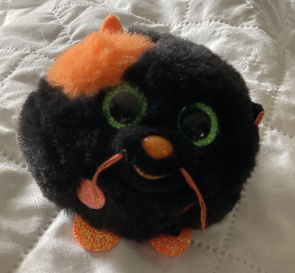 A small round beanie baby plush. She's a little black cat with orange paws, nose, whiskers, one orange ear, and an orange spot under that ear. She's got an embroidered smile and she's very fluffy. She has big green plastic sparkly eyes that make hugging her difficult despite how soft and fluffy her fur is. There's glitter on her paws, she's not remotely washable, so she's a sit on the desk toy anyway, not much hugging. She's about the size of a tennis ball, so, yeah, desk friend. Some of the littles call her Sal, I call her Sally. It's the smile.