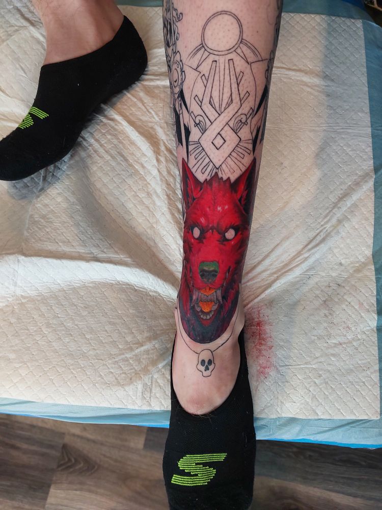 A photo of an in progress tattoo featuring Cerberus from the game Hades 