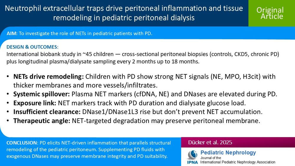 Neutrophil extracellular traps drive peritoneal inflammation and tissue remodeling in pediatric peritoneal dialysis