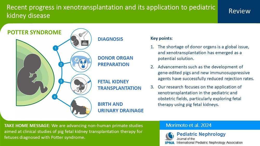 Recent progress in xenotransplantation and its application to pediatric kidney disease