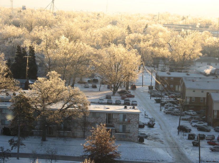 Sun shining through ice covered trees, as seen from the 14th floor of my dorm building.