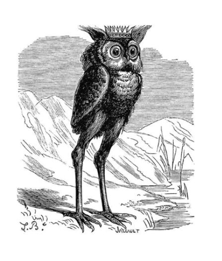 A woodcut print of Stolas, prince of the underworld.

Source: https://archive.org/details/dictionnaireinfe00coll_1