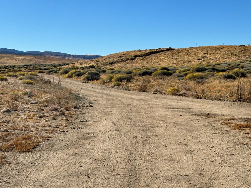 The road less followed...is my choice every time. 

And you?? 🤔