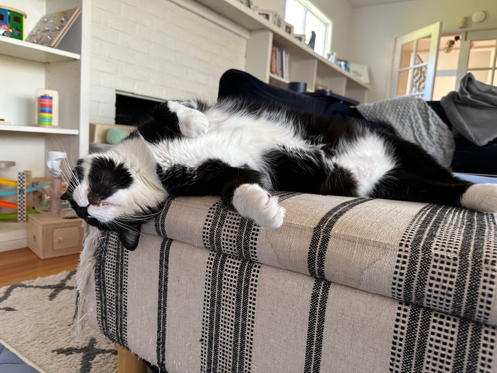 Tuxedo cat sprawled out on an ottoman with each limb pointed in a different direction 