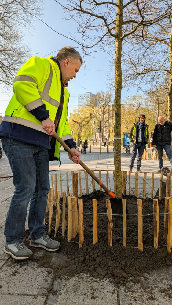 Een man in fluo plant een boom.