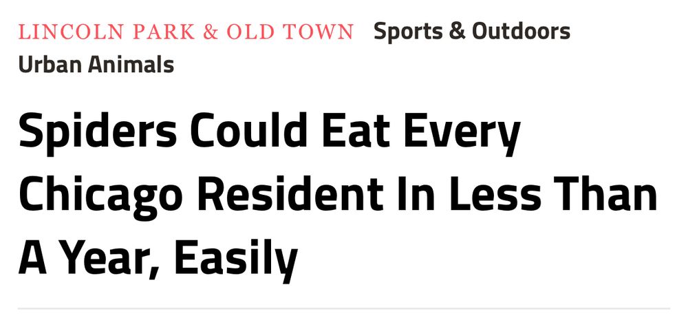 2017 DNAinfo Chicago headline:

Spiders Could Eat Every Chicago Resident In Less Than A Year, Easily