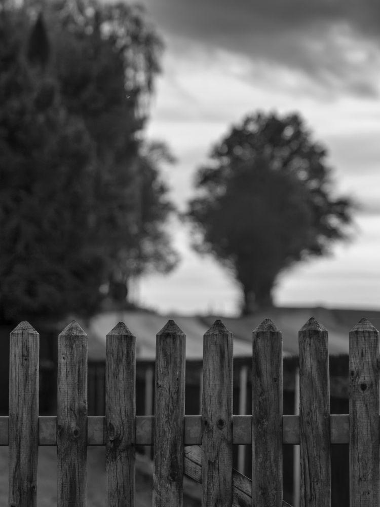 Schwarzweissfoto eines Holzzaunes, im Hintergrund Bäume an einer Strasse