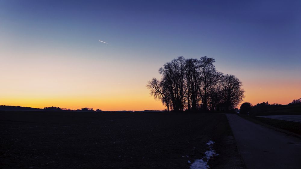 Abendliches Foto einer Landschaft, Bäume am Horizont, rechts ein Weg.