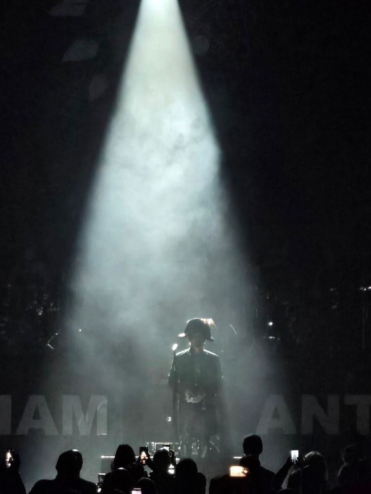 A kind of silhouetted image of Adam Ant on stage