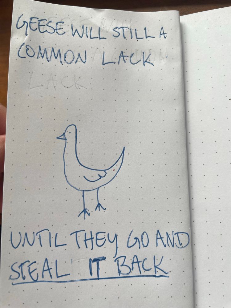 crude drawing of a goose with the text "goose will still a common lack, until they go and steal it back" from the union song 'the goose and the common'