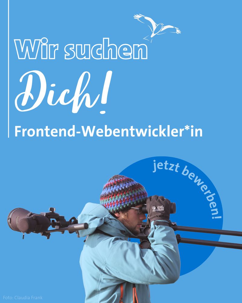 Text: "Wir suchen Dich! Frontend-Webentwickler*in
Jetzt bewerben!"