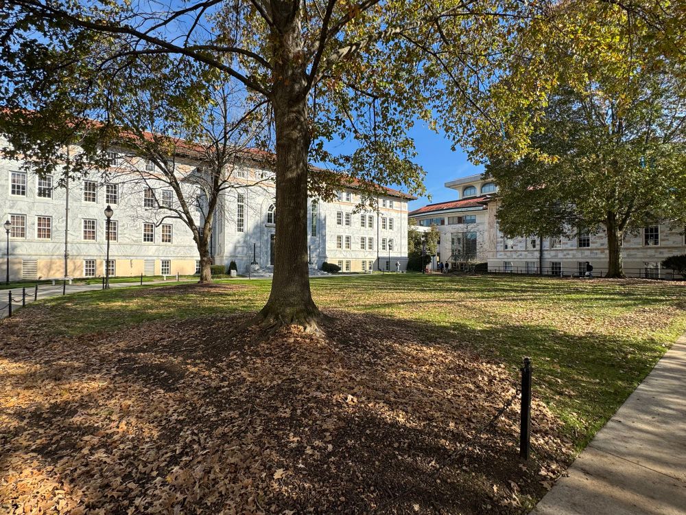 Quad, libraries Emory 