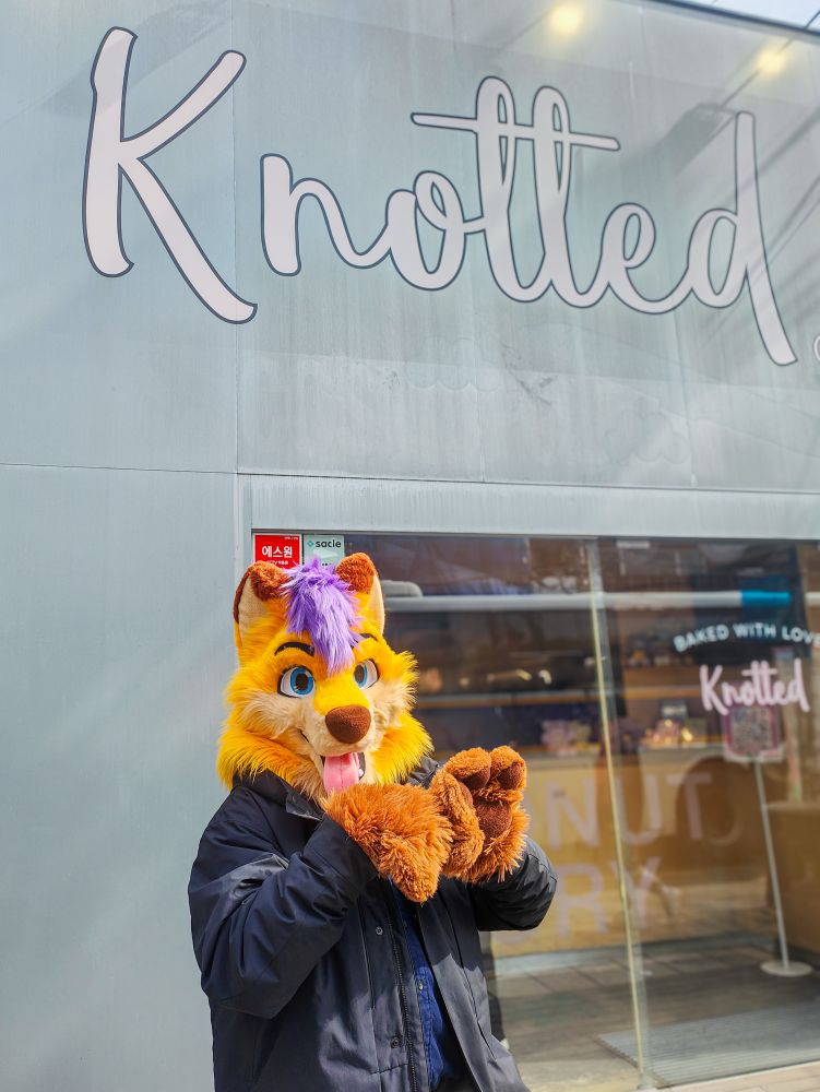 Fox fursuit with bakery shop named Knotted in the background