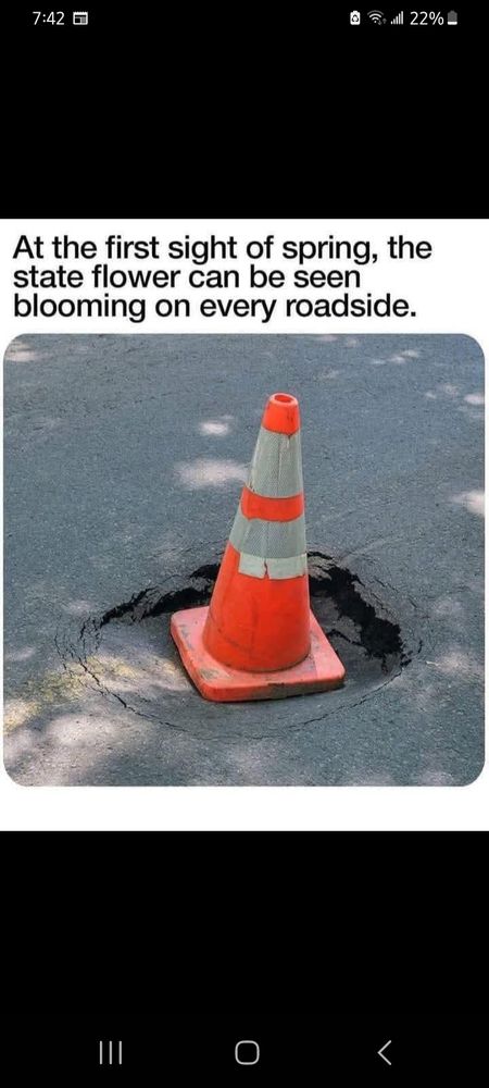Construction cone in a pot hole.
Caption says: At the first sight of spring, the state flower xan be seen blooming on every roadside. 