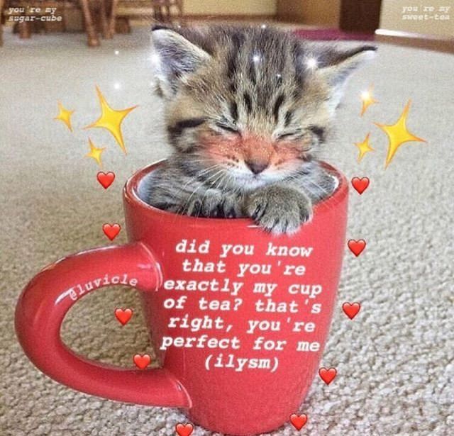 My perfect cup of coffee, since I'm not a tea person 🤭🪄💖