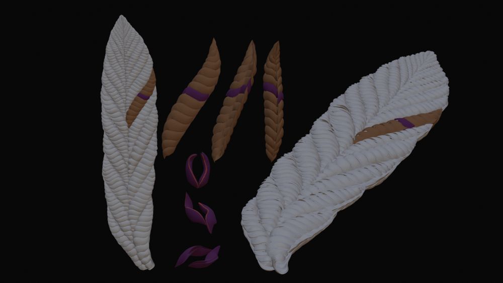 the branch architecture of the reclining rangeomorph Charnia masoni showing the shapes of the first and second order rangeomorph branches.  The paper which should be out shortly has the 3rd order.