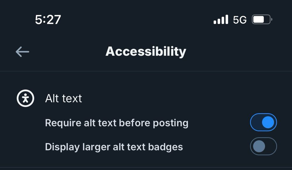 cropped screenshot of the bluesky accessibility settings page with “require alt text before posting” setting clicked