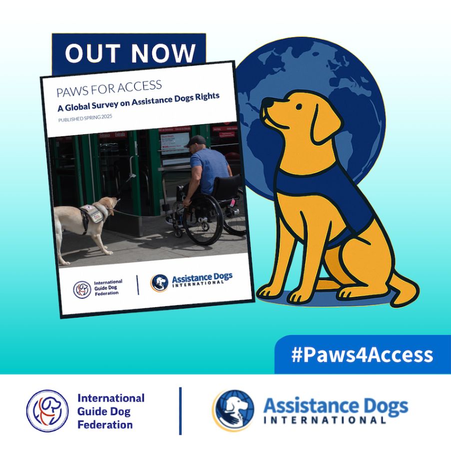 Front page of the Paws for Access report with Out Now written across it