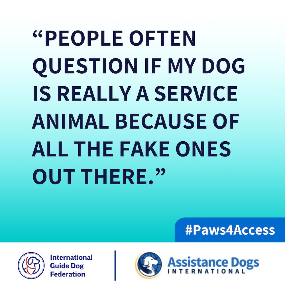 A graphic with the text "people often question if my dog is really a service animal because of all the fake ones out there"