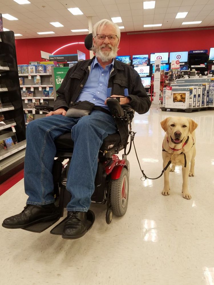 A bearded man in a wheelchair holds the leash of a yellow labrador assistance dog. They are in a shop