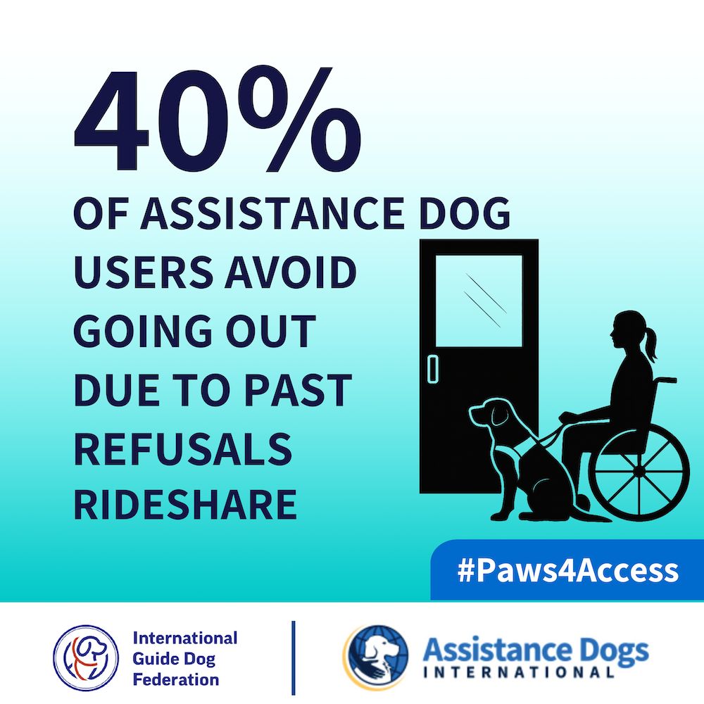 Graphic with the text "40% of assistance dog users avoid going out due to past refusals rideshare"