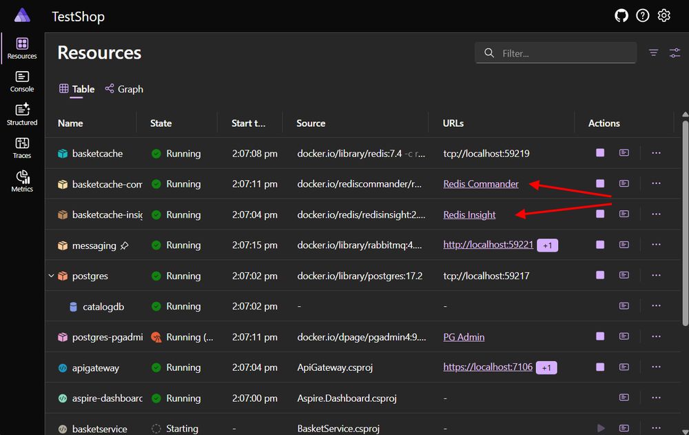 Screenshot showing resource URLs with custom names.