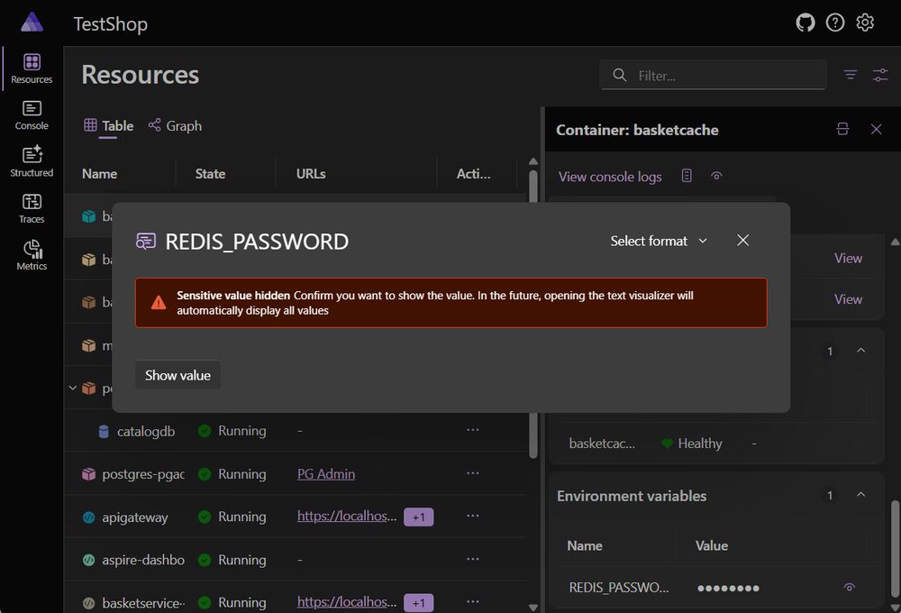 Screenshot showing text visualizer displaying sensitive value warning.