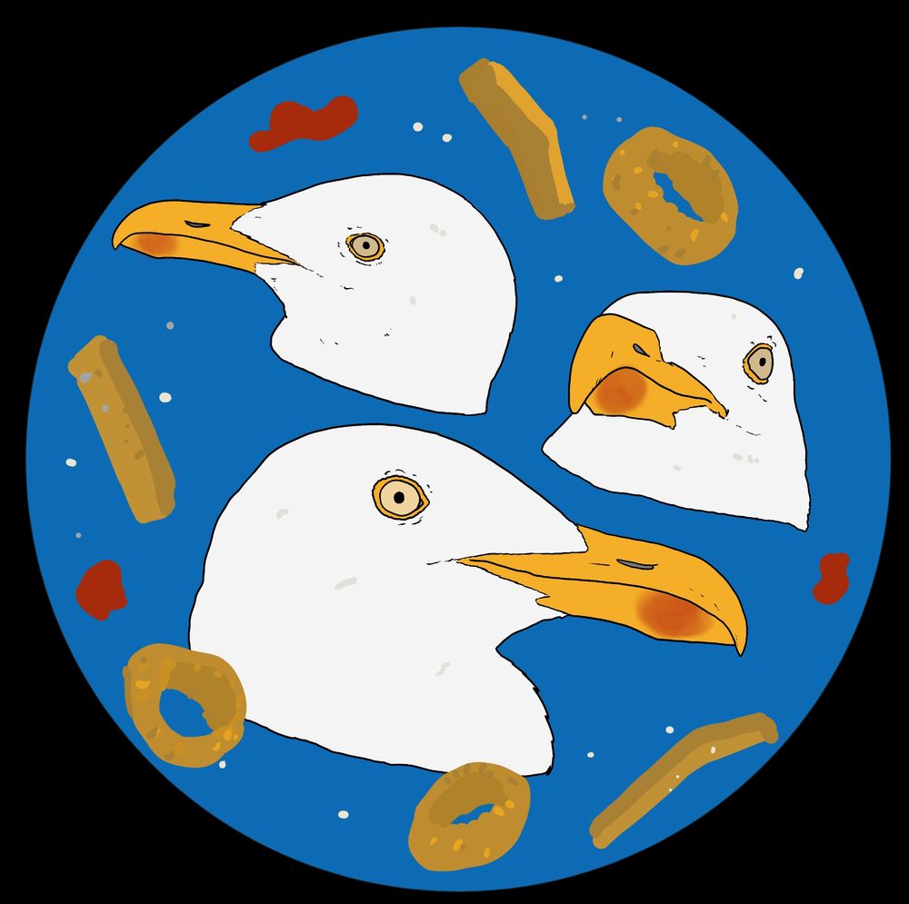 Three herring gull heads floating in a blue circle, chips and onion rings and blobs of ketchup float around them