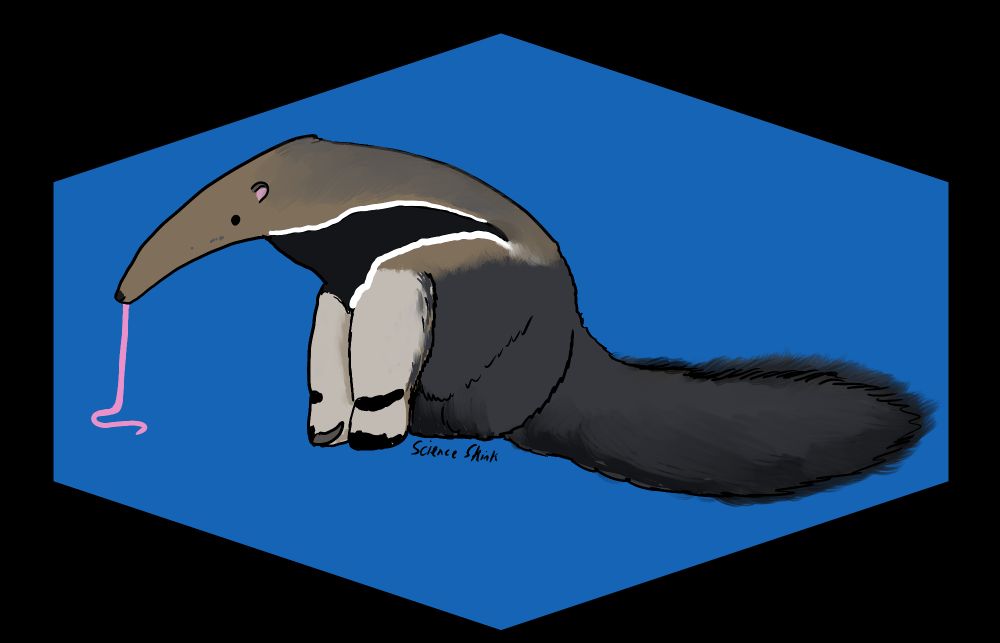 Stylized art of a giant anteater sitting, its tongue sticking out and on the ground. It has a blue background 