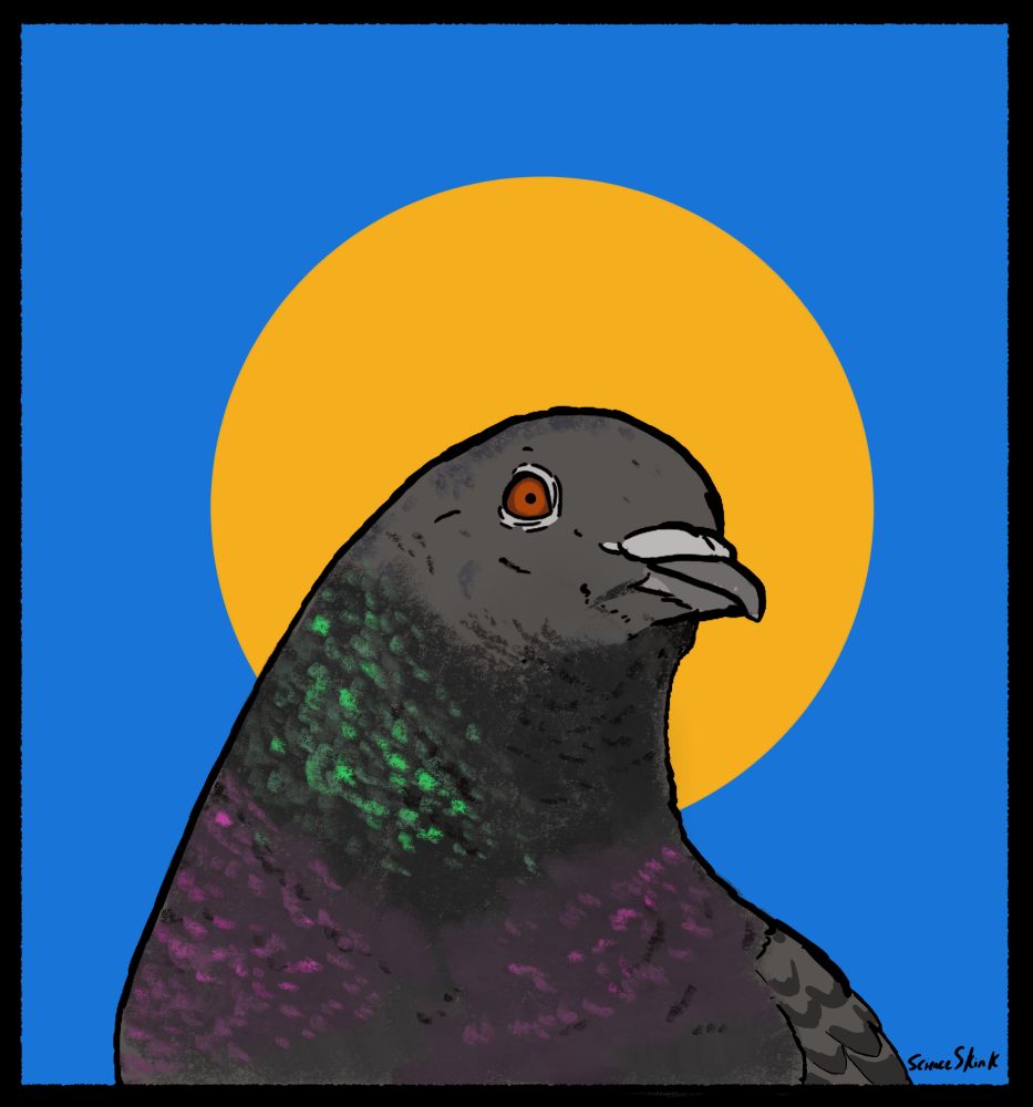 Art of a feral pigeon, it has a blue background with a yellow circle behind the head