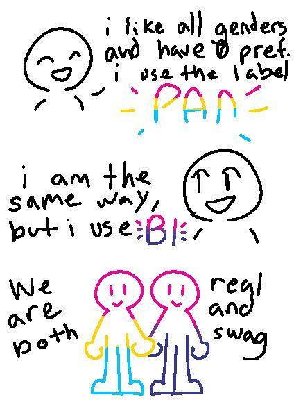 comic of two people talking to each other, A and B.

A: i like all genders and have 0 pref. i use the label PAN 🟥🟨🟦
B: i am the same way, but i use BI 🟥🟪🟦
A&B: we are both real and swag

the PAN and BI words are colored according to the flag colors. and at the end, the two stick people are holding hands, and their entire body is colored according to the flag colors, with pan on the left and bi on the right.