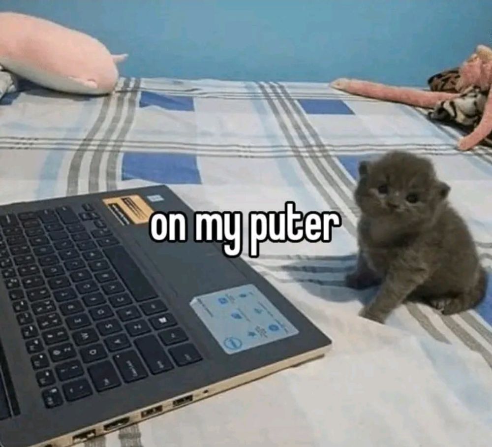 a photo of a kitten on a computer with the text "on my puter" centered on the image.