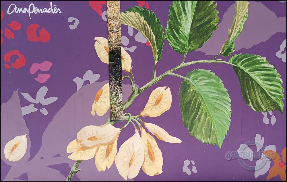 Mural pintado en una pared en el que se representan hojas y frutos de un olmo.