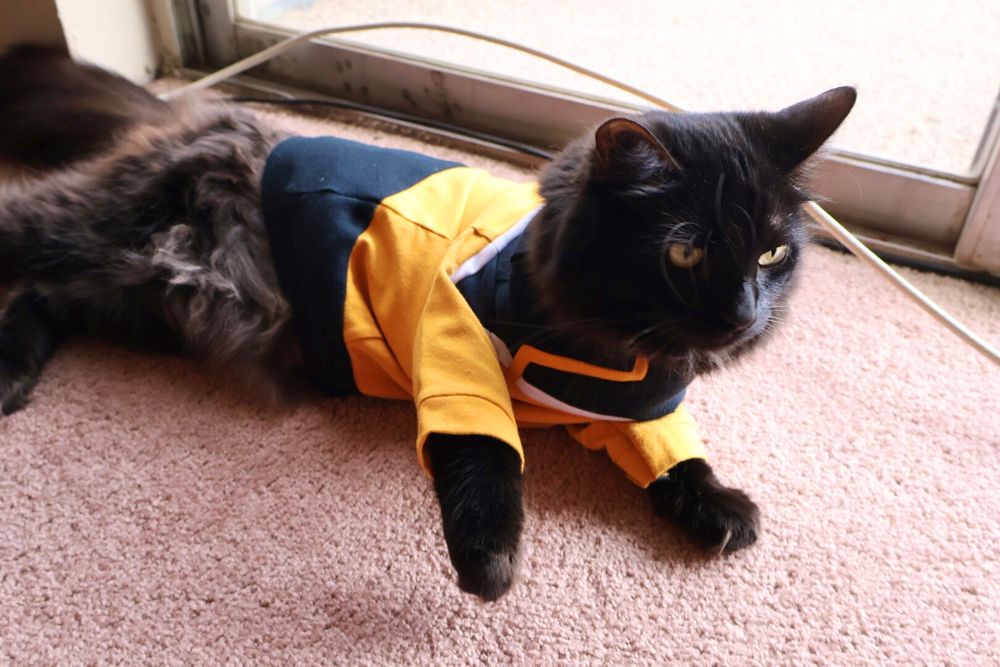 Same black cat on his other side 