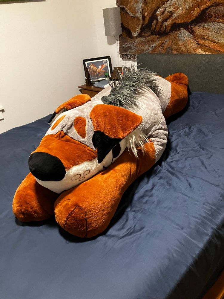 A 6 foot long coyote plush laying on a bed. There's furry art on the nightstand and wall behind him.