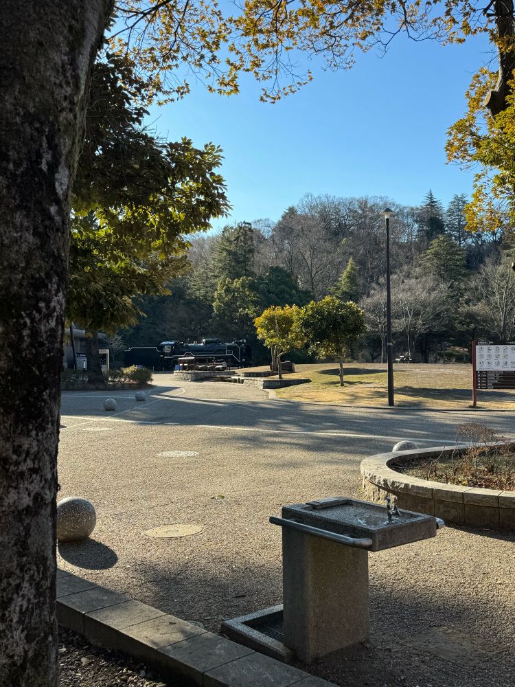 生田緑地の朝の写真