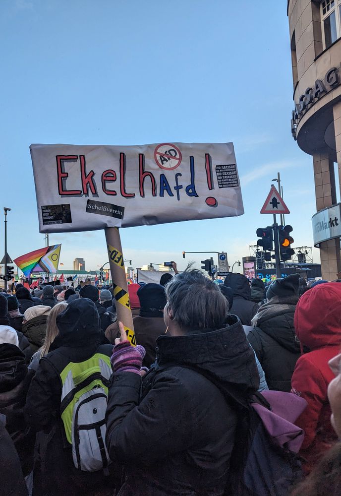 Demo-Plakat EkelhAfD