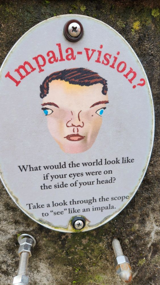 "Impala vision?" (The animal Impala not the car) "What would the world look like if your eyes were on the side of your head?"

The image of a person that vaguely looks like Rand al'thor with very very silly eyes is displayed.